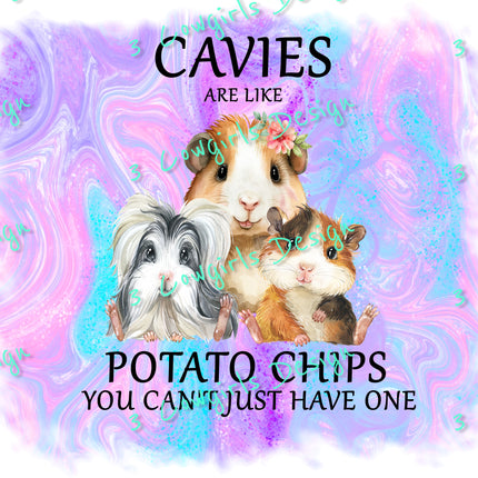 Collection image for: Cavies