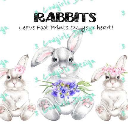 Collection image for: Rabbits