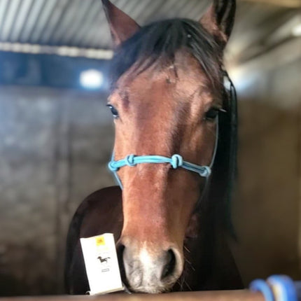 Collection image for: Equine Products
