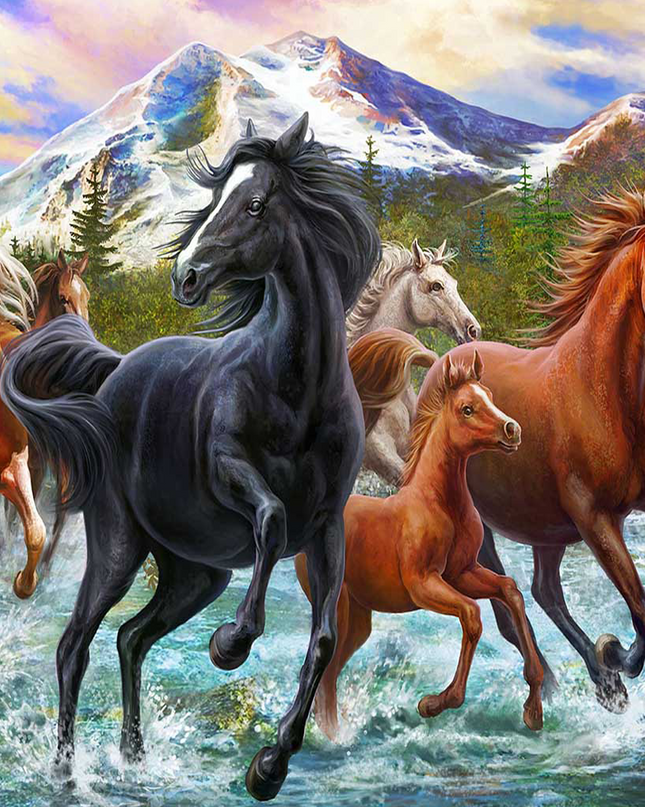 Horses gallaping