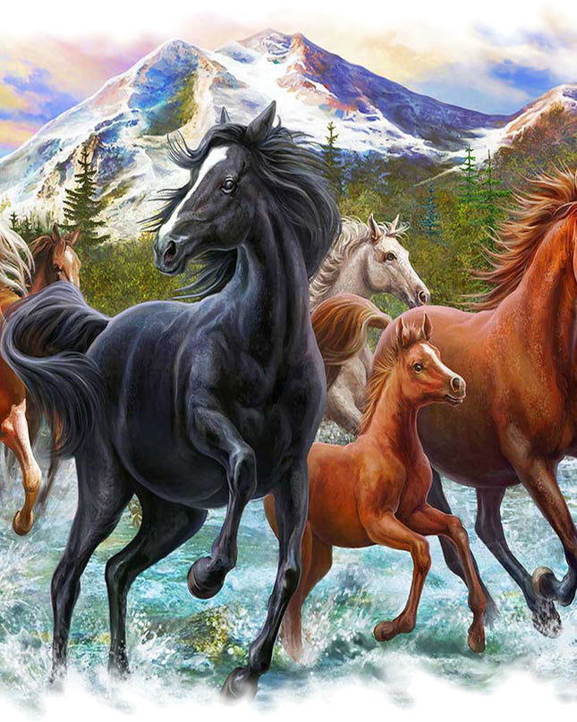 Horses gallaping