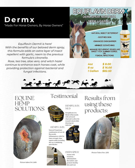 Equiflavin Dermx