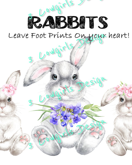 Rabbits leave footprints