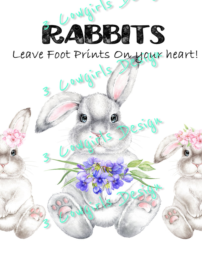 Rabbits leave footprints