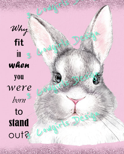 Why fit in {Pink}