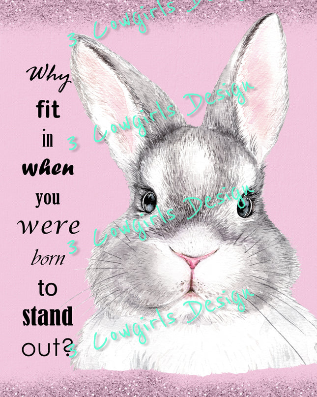 Why fit in {Pink}