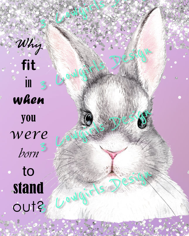 Why fit in
