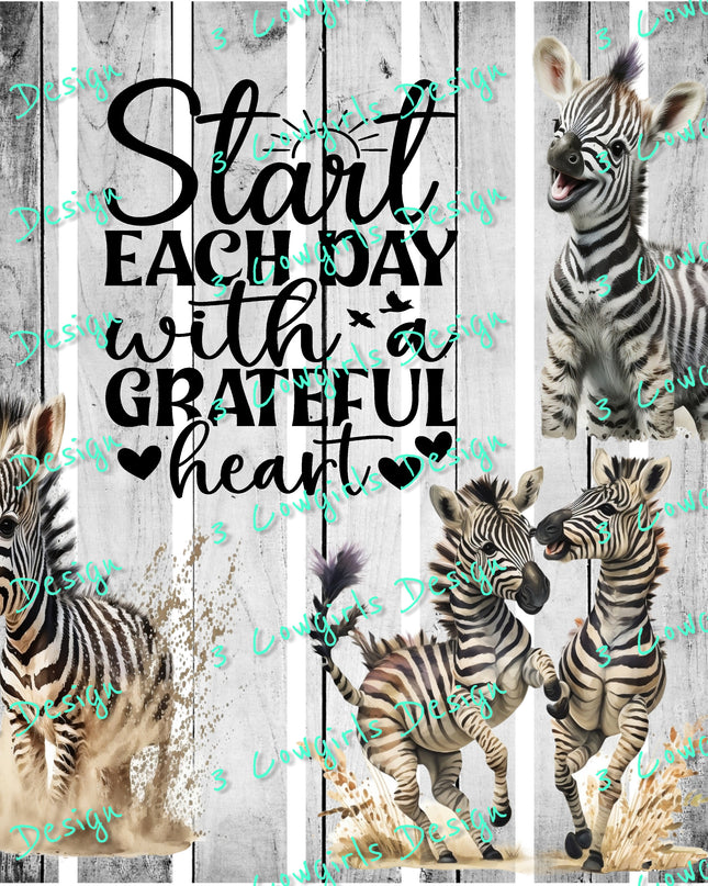Zebra.. Start