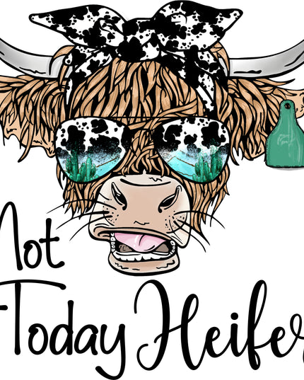 255 Not today Heifer
