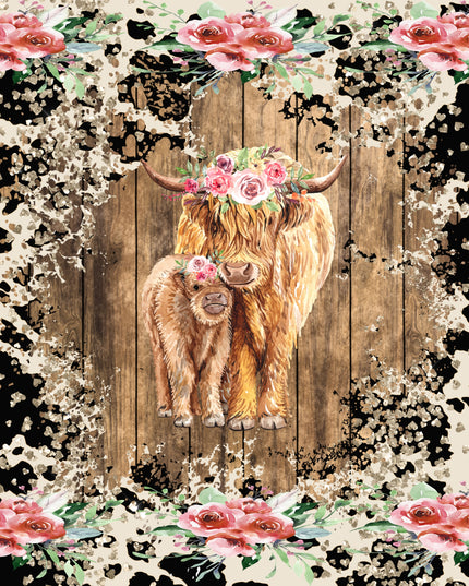 260 2 Brown calves with black a white cow print background