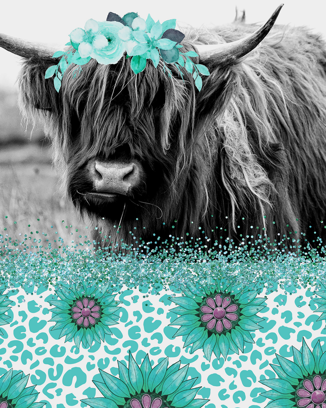 262 Black cow with teal backgroun