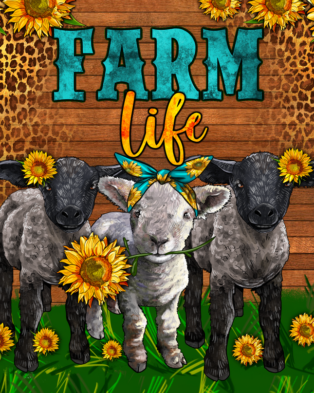 269 Farm life- goats