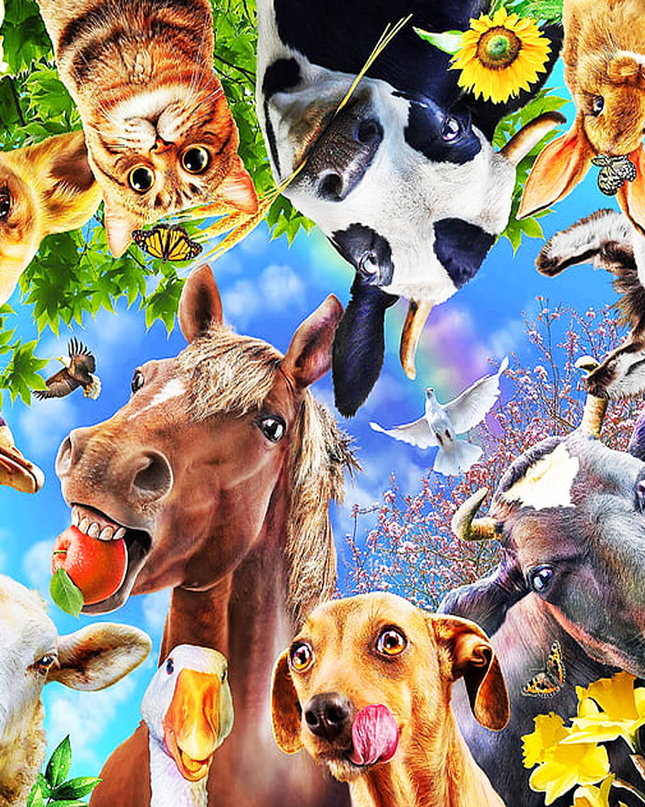 274 Farm animals #2