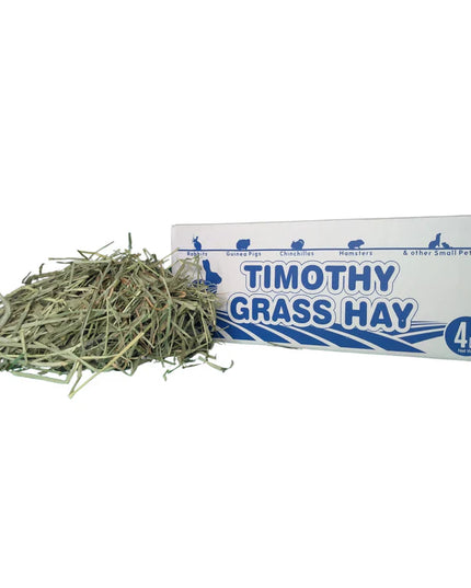 Timothy Hay