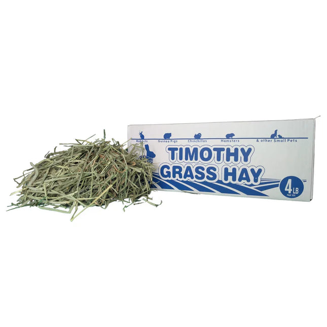 Timothy Hay