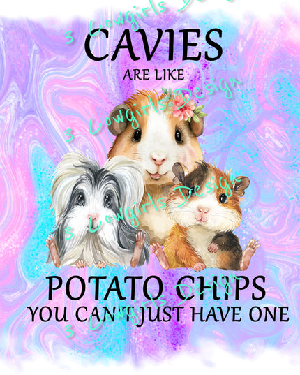 Cavies are like potato chips