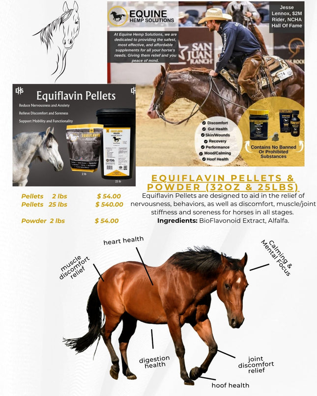 Equiflavin Pellets