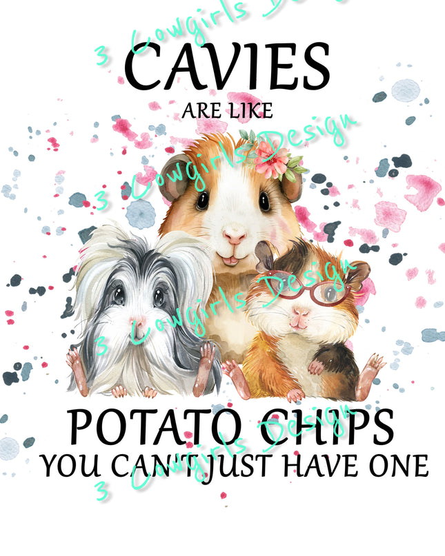 Cavies are like potato chips