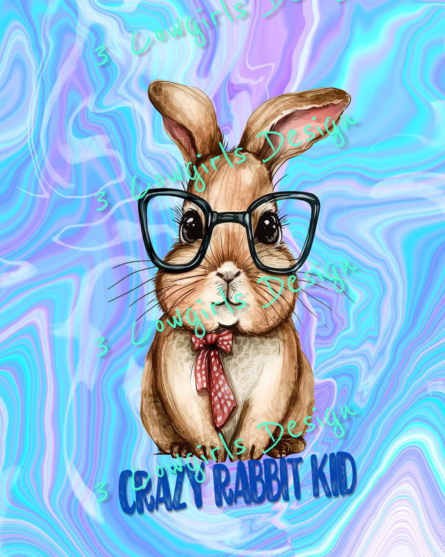 Crazy rabbit kid {blue, purple, white}