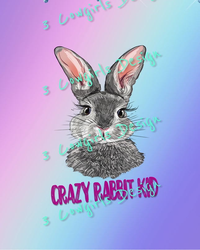 Crazy rabbit kid {Purple, Pink and Tuequoise}