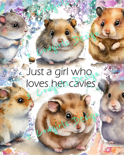 Just a girl who loves her cavies