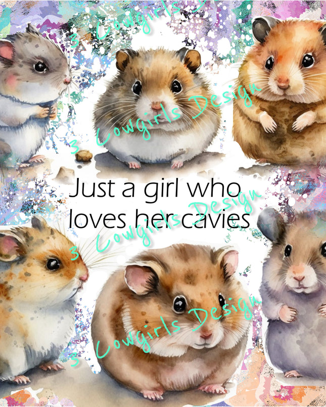 Just a girl who loves her cavies