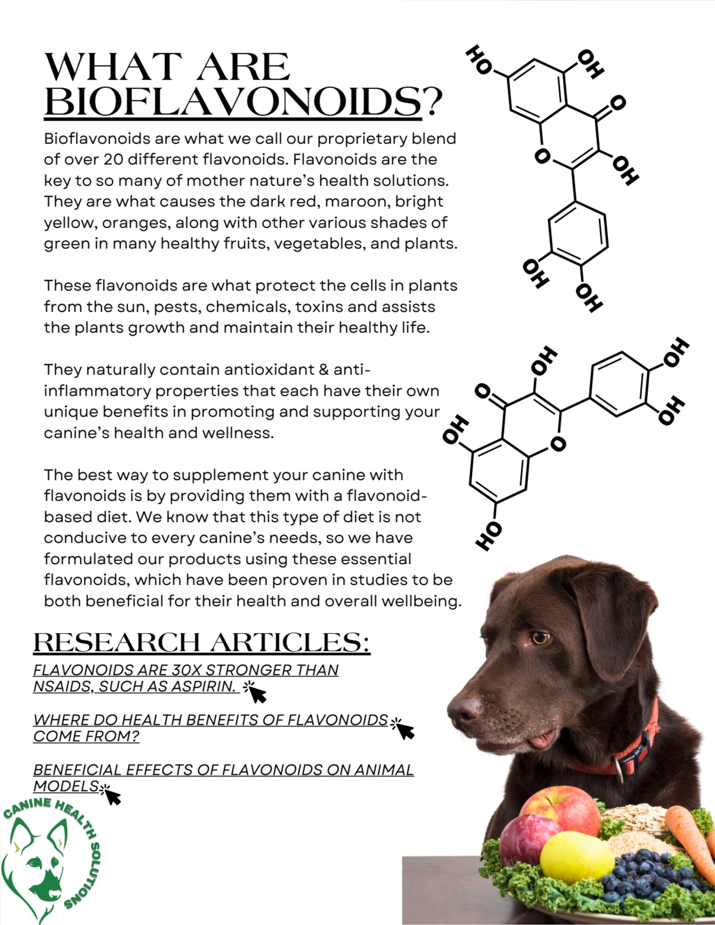 About Canine Solutions